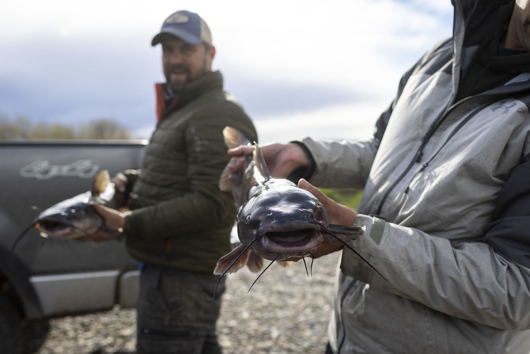 Yellowstone Challenge Catfish Tournament